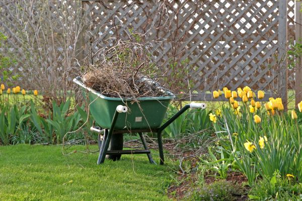 Flower Bed Cleanup Service in Nokomis