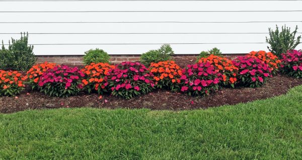 Flower Bed Weeding Service