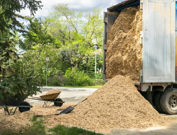 Wood Chips Delivery in Nokomis