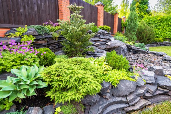 Landscape Remodeling in Nokomis