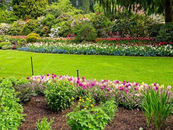 Residential Landscape Design in Nokomis