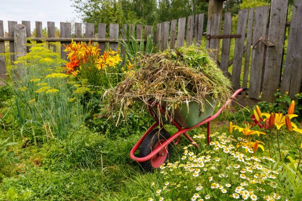 Garden Cleanup Service in Nokomis