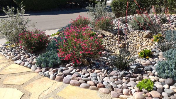 Xeriscape Landscaping in Nokomis