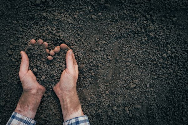 Soil Installation in Nokomis