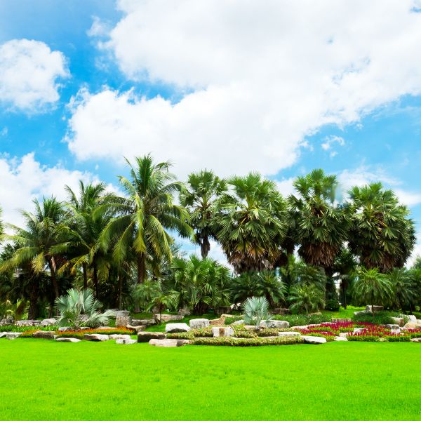 Tropical Landscaping in Nokomis