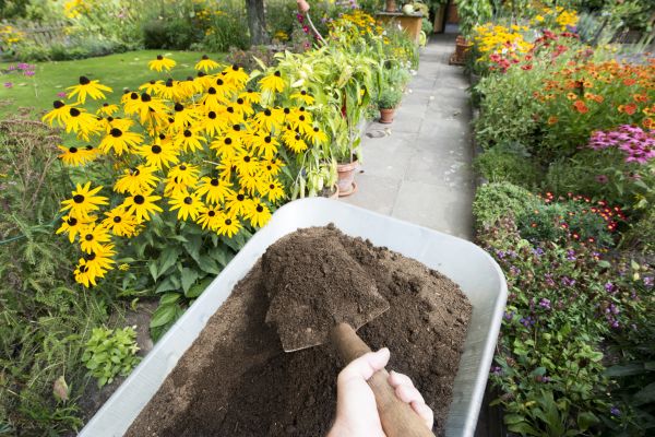 Topsoil Replacement in Nokomis