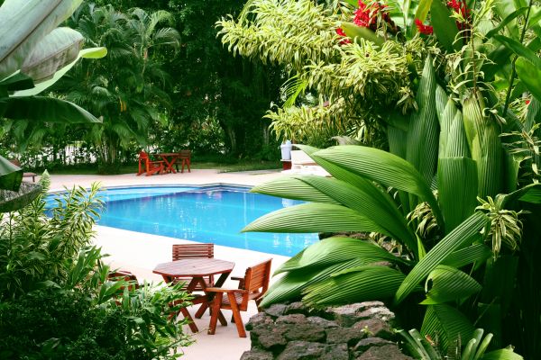 Pool Area Landscaping in Nokomis