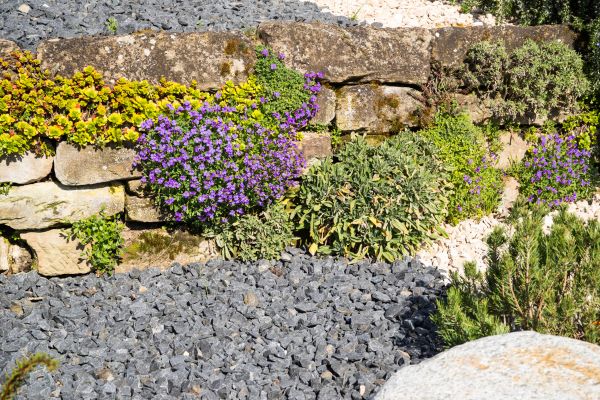 Landscaping Rocks Installation in Nokomis