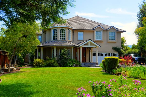 Large Yard Landscaping in Nokomis
