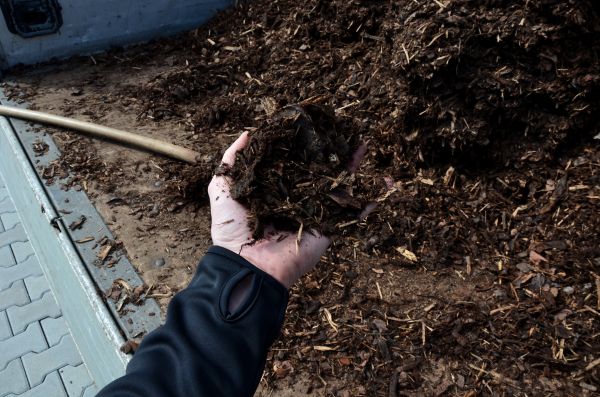 Condo Mulching in Nokomis