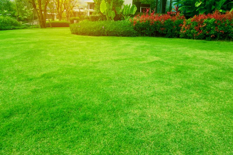 Leaf-Free Lawn
